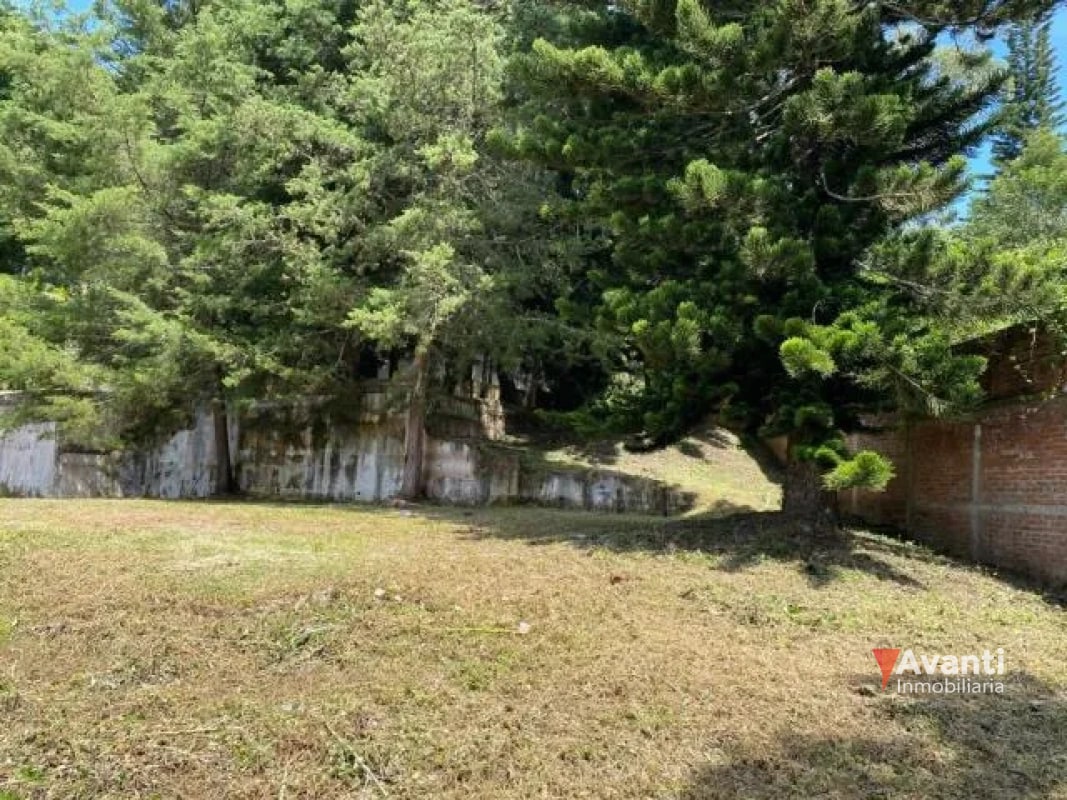 VENTA TERRENO CARRETERA A EL SALVADOR, KM.9 IDEAL PROYECTO CASAS - 2