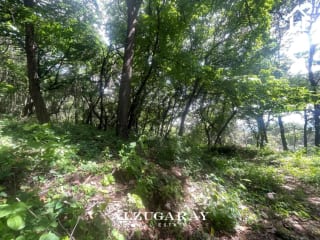 TERRENO RESIDENCIAL AMPLIO 4,198 VR2 / EL ENCINAL MIXCO — Terreno en Venta en Zona 7 Mixco, Guatemala, Ciudad — miniatura 4 de 10