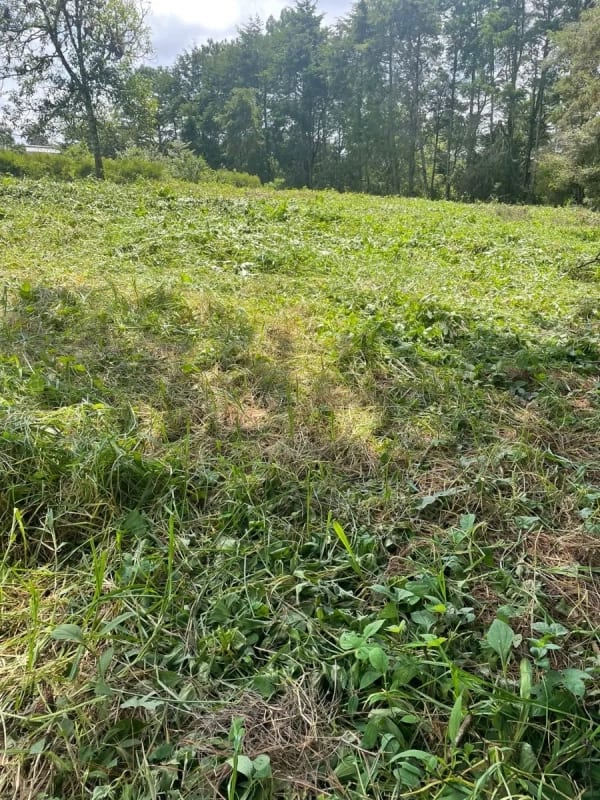TERRENO IDEAL PARA DESARROLLO VIVIENDA TERRENO EN KM 16 — Terreno en Venta en Carretera a El Salvador, Guatemala, Ciudad — foto 2 de 3