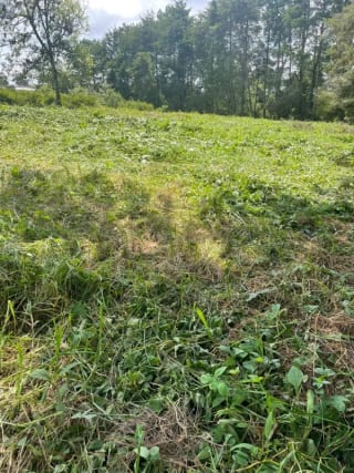 TERRENO IDEAL PARA DESARROLLO VIVIENDA TERRENO EN KM 16 — Terreno en Venta en Carretera a El Salvador, Guatemala, Ciudad — miniatura 2 de 3