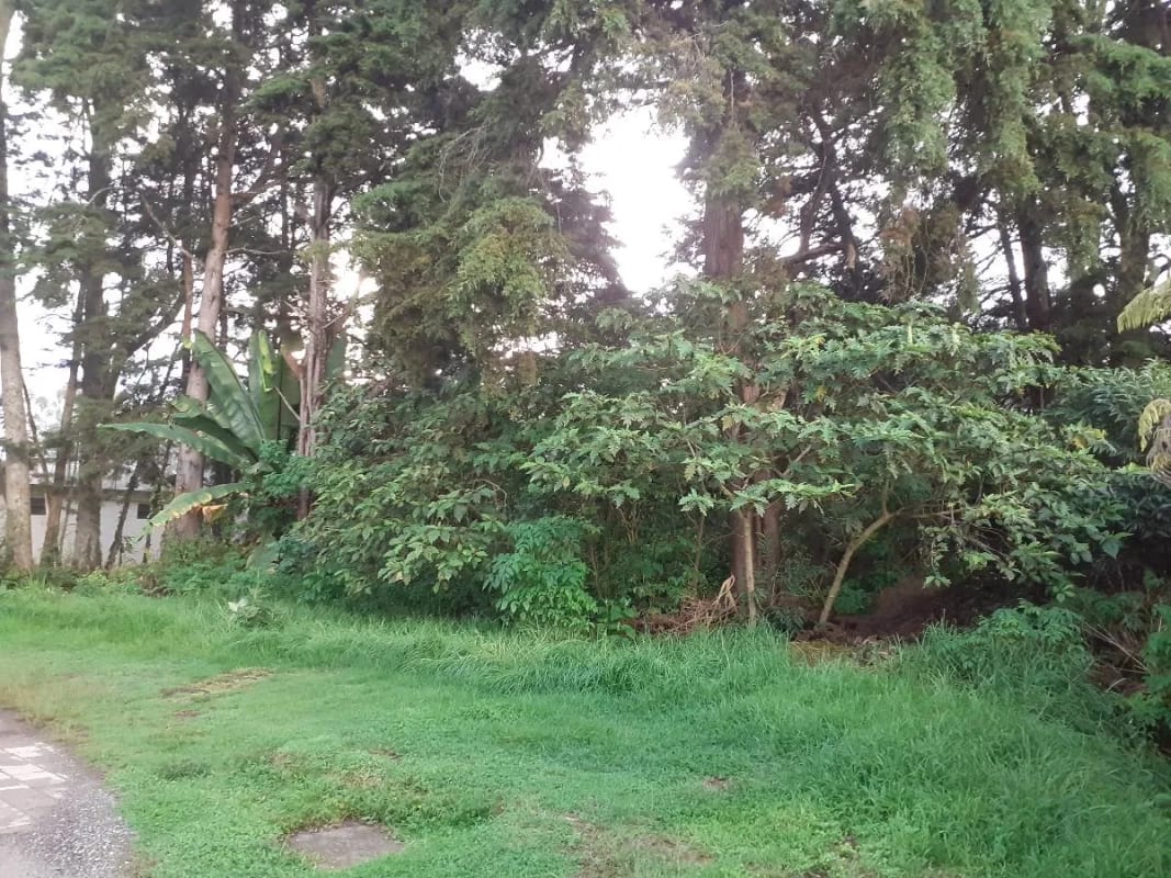 LINDO TERRENO KILOMETRO 16 CARRETERA SALVADOR — Terreno en Venta en Carretera a El Salvador, Guatemala, Ciudad — foto 3 de 3