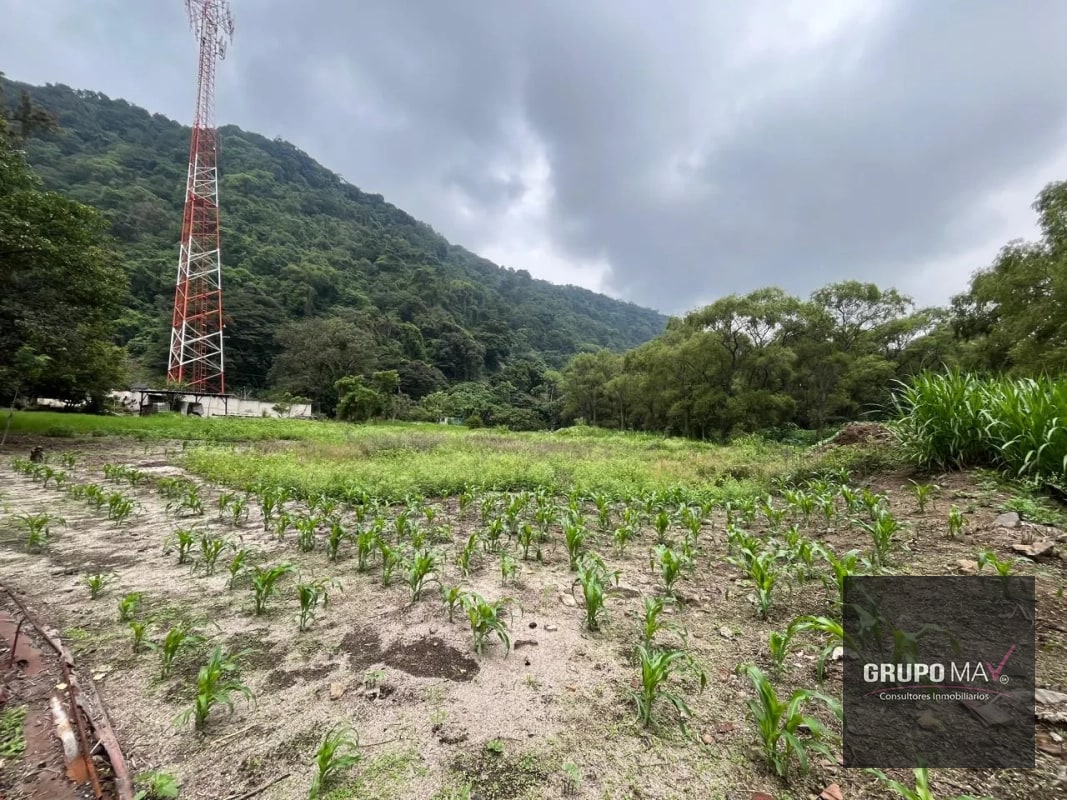 Terreno Los Sauces Km.37 Palín Escuintla - 1