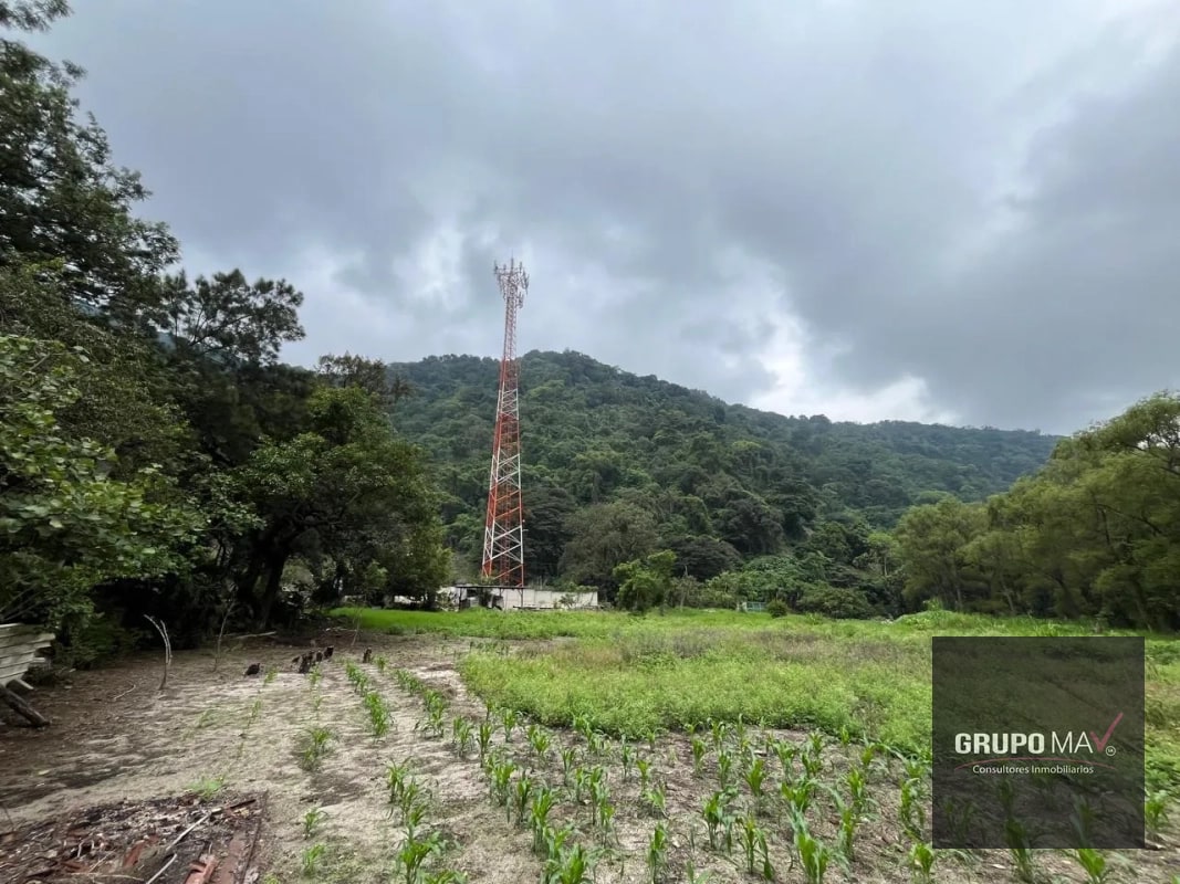 Terreno Los Sauces Km.37 Palín Escuintla - 5