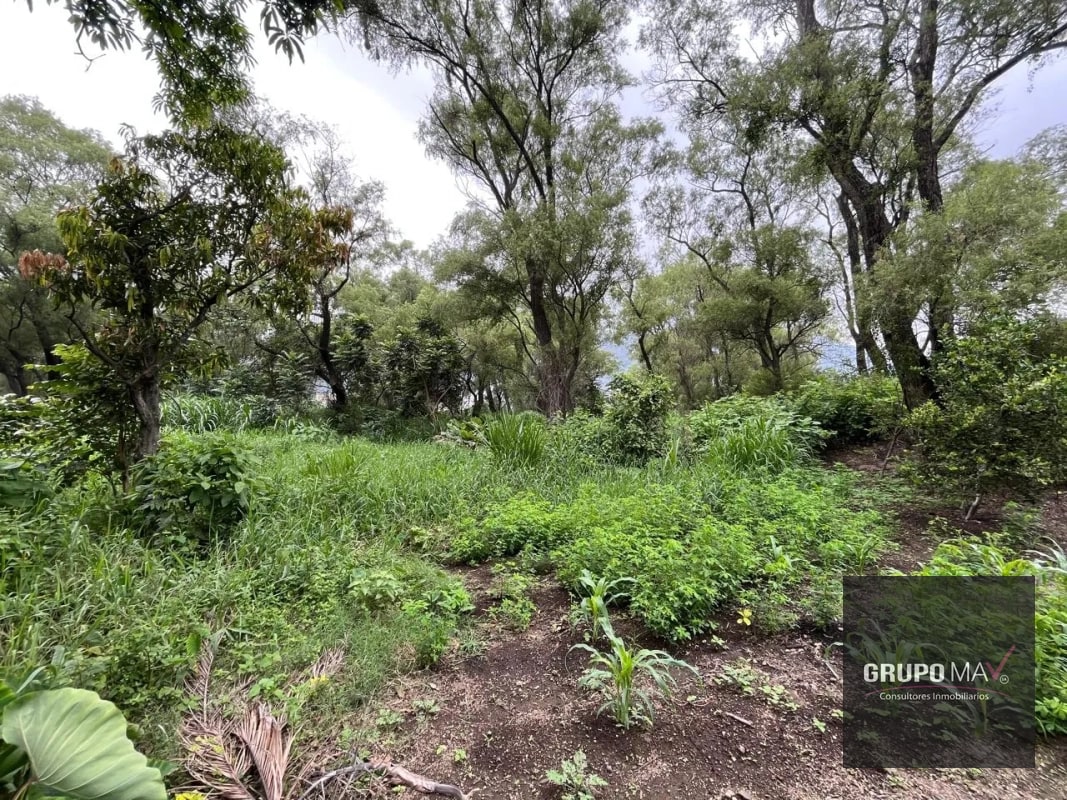 Terreno Los Sauces Km.37 Palín Escuintla - 4