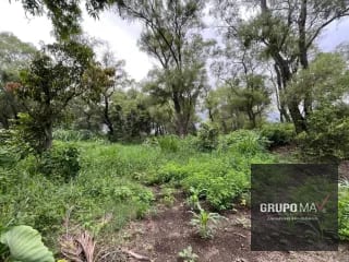 Terreno Los Sauces Km.37 Palín Escuintla — Terreno en Venta en Escuintla, Escuintla — miniatura 4 de 6