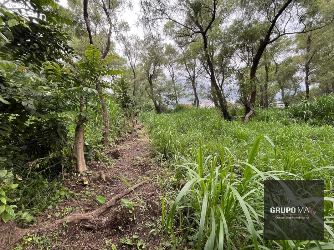 Terreno Los Sauces Km.37 Palín Escuintla - 3