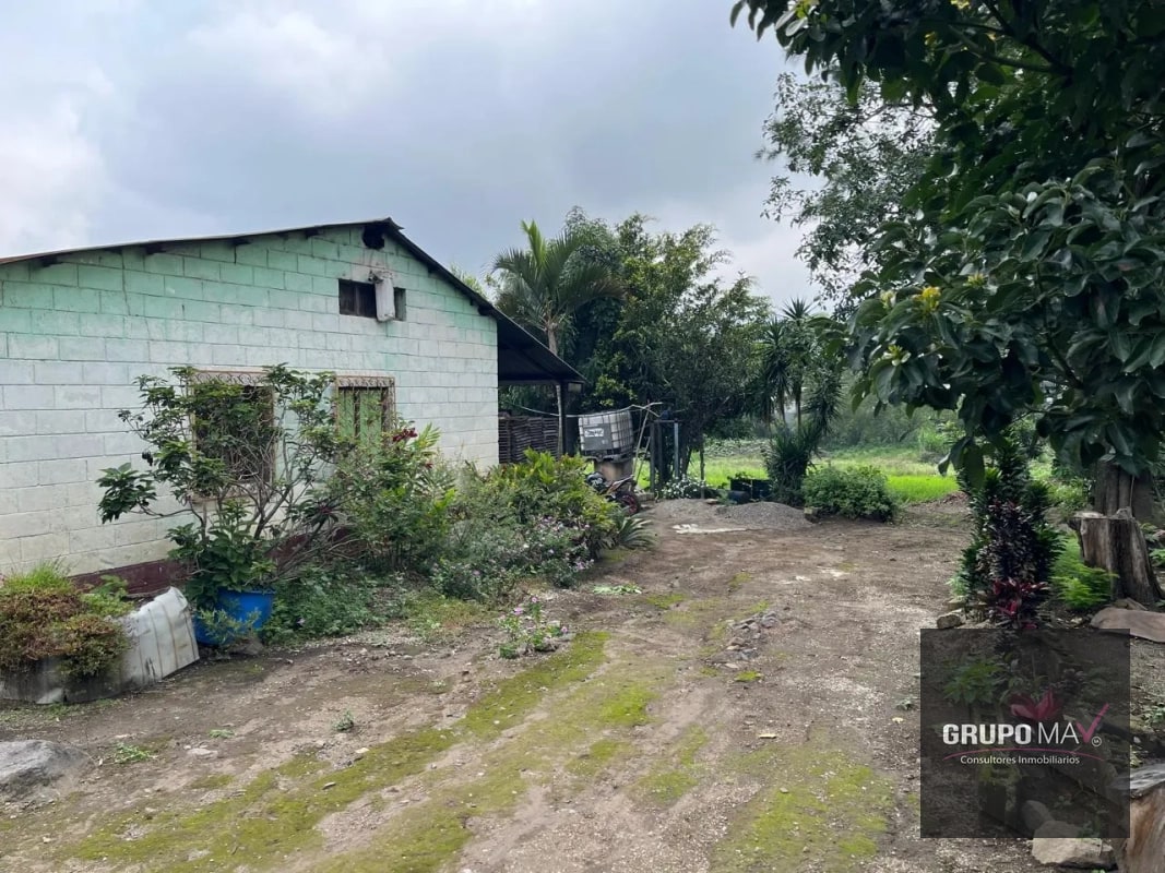 Terreno Los Sauces Km.37 Palín Escuintla - 2