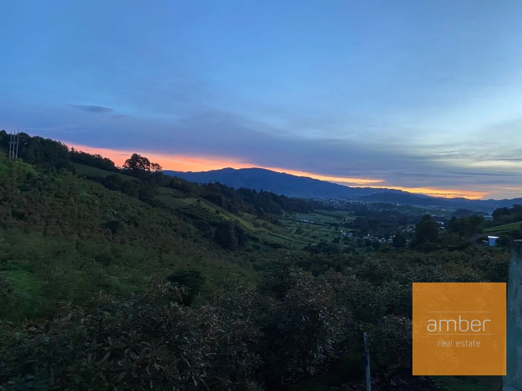 Granja de aguacate, en Chimaltenango - 1