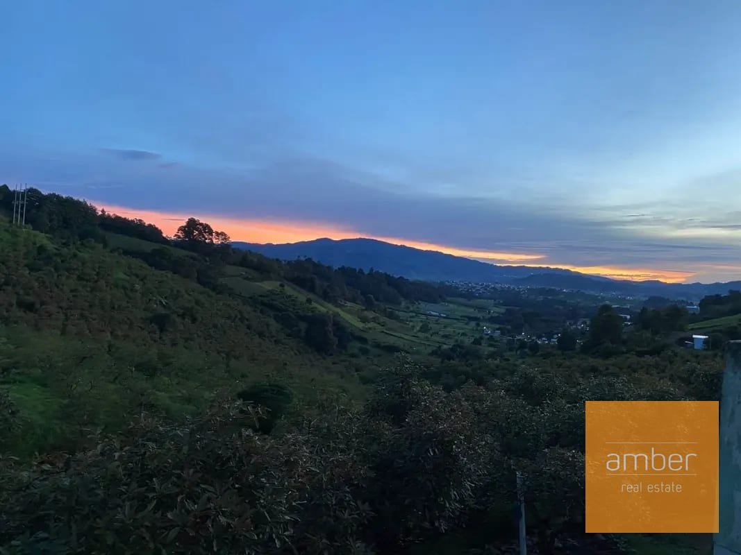 Granja de aguacate, en Chimaltenango — Terreno en Venta en Patzún, Chimaltenango — foto 1 de 5