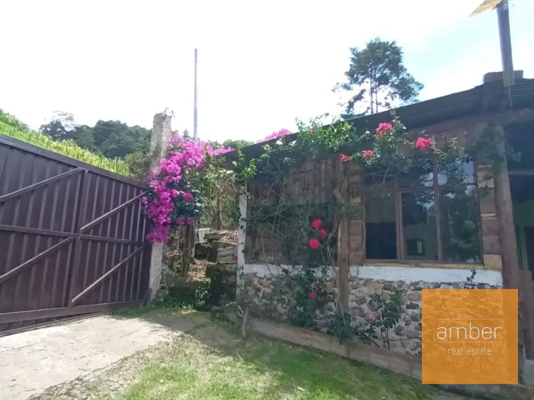 Granja de aguacate, en Chimaltenango — Terreno en Venta en Patzún, Chimaltenango — foto 4 de 5