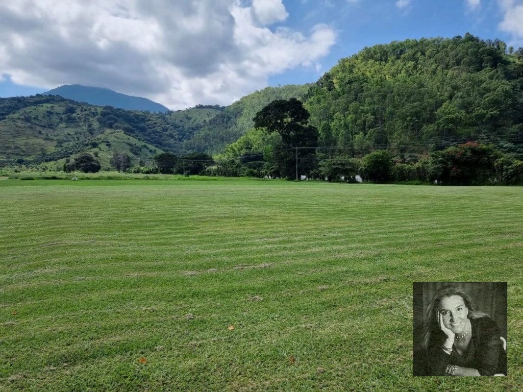 TERRENO EN VENTA – AMATITLÁN 📍 Circunvalación del Lago | Frente a asfalto - 11