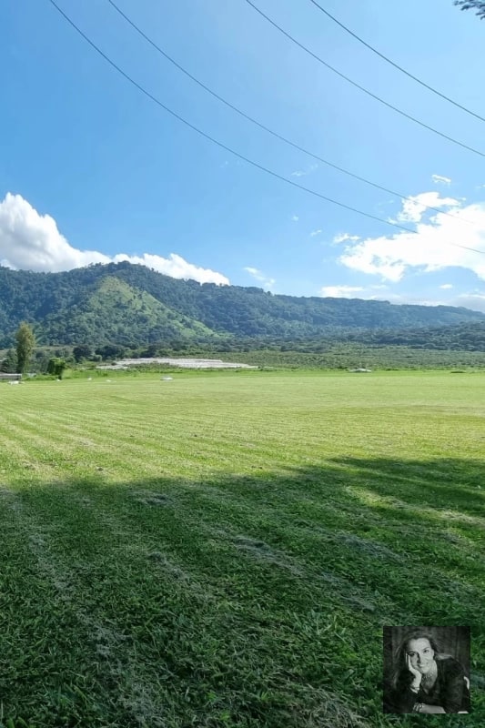 TERRENO EN VENTA – AMATITLÁN 📍 Circunvalación del Lago | Frente a asfalto - 4