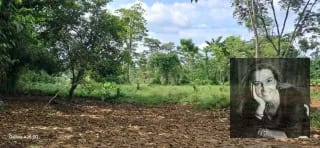 TERRENO EN VENTA – COATEPEQUE, A 200 METROS DEL KM 223 CA-2 — Terreno en Venta en Coatepeque, Quetzaltenango — miniatura 4 de 4