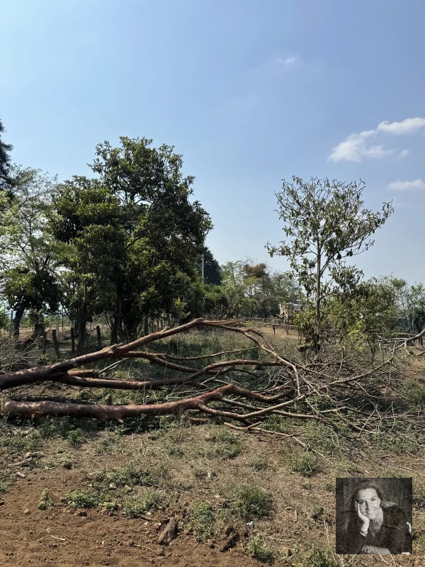 Ideal DESARROLLO/ Terreno en Venta Km 25.5 CES - 7