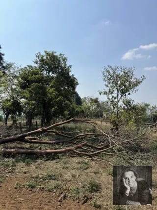 Ideal DESARROLLO/ Terreno en Venta Km 25.5 CES — Terreno en Venta en km 21-25, Carretera a El Salvador, Guatemala, Ciudad — miniatura 7 de 11