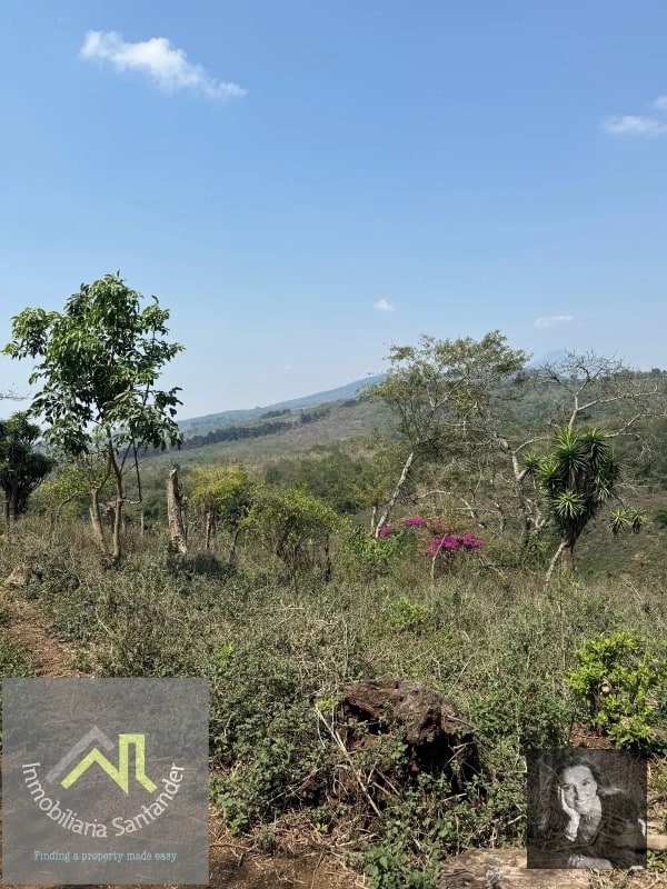 Ideal DESARROLLO/ Terreno en Venta Km 25.5 CES - 6