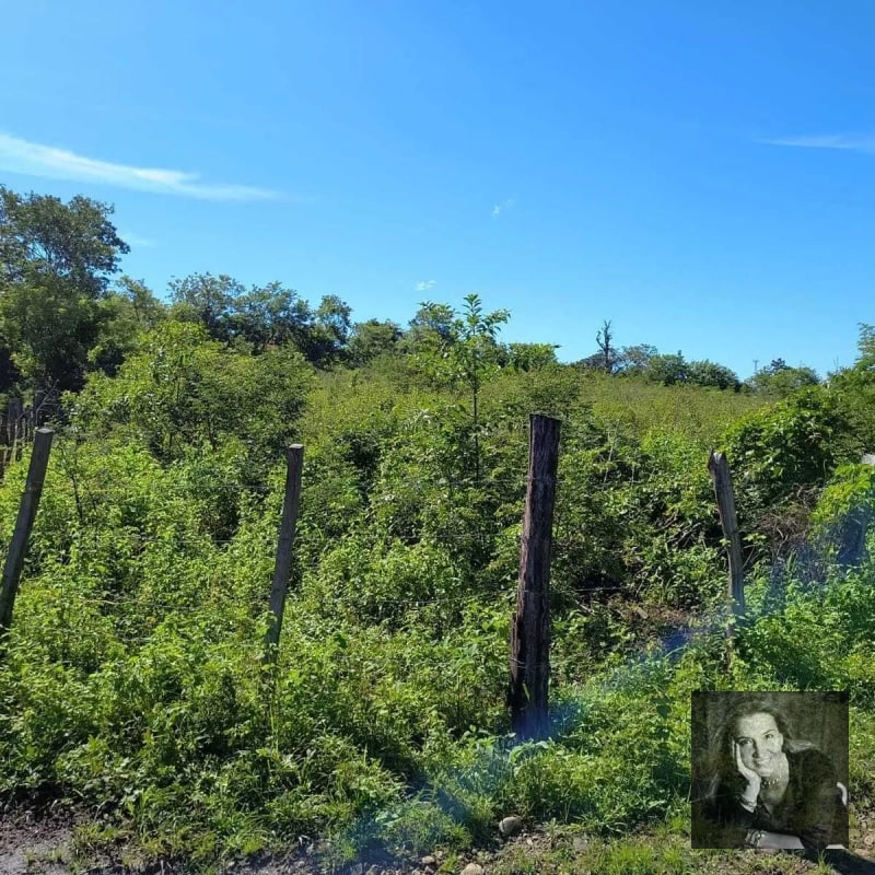 ORATORIO / Km.92 Carretera Salvador Ideal para hacer bodegas o lotificar - 5