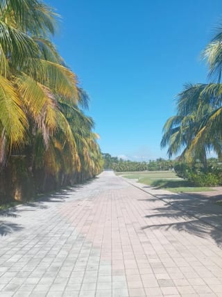 Terreno en Km 118 Iztapa, Pérgolas del Mar — Terreno en Venta en Iztapa, Escuintla — miniatura 2 de 4