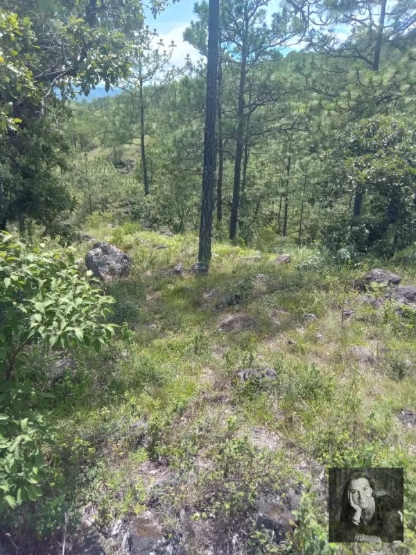 TERRENO EN VENTA – HUEHUETENANGO (PIEDRAS NEGRAS) - 5