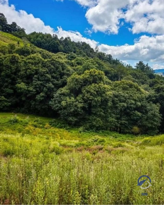 Amplios terrenos en venta en Encinos de Tecpán, Naturaleza, elegancia y exclusividad en un mismo lugar. ¡Precios de Lanzamiento! - 3