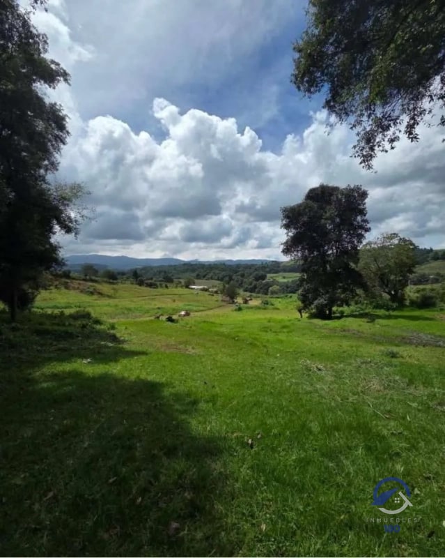 Amplios terrenos en venta en Encinos de Tecpán, Naturaleza, elegancia y exclusividad en un mismo lugar. ¡Precios de Lanzamiento! - 2