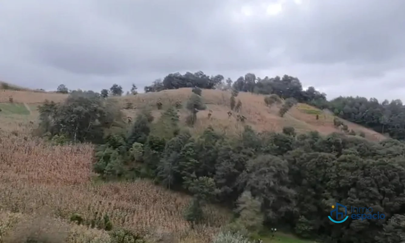 TERRENOS EN VENTA- Encinos de Tecpán - 13