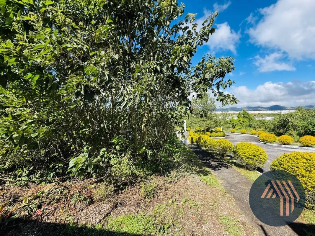 VENTA DE TERRENO RESIDENCIAL - ALTA VISTA CLUB, SAN JOSÉ PINULA - 7