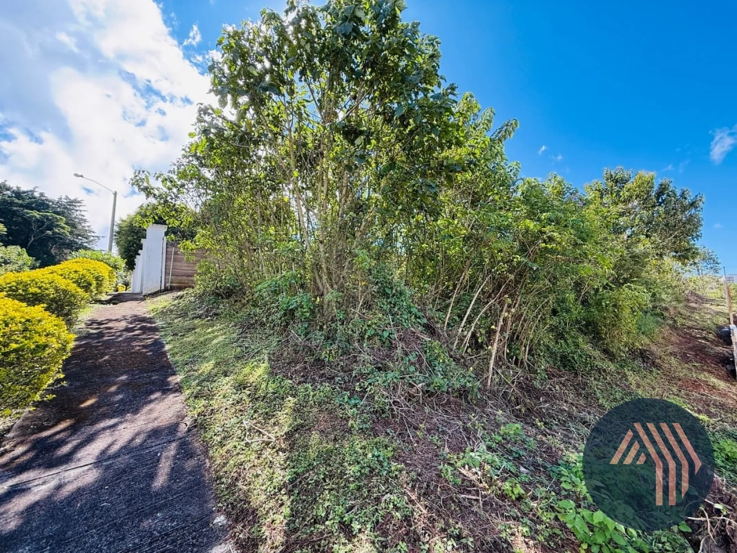 VENTA DE TERRENO RESIDENCIAL - ALTA VISTA CLUB, SAN JOSÉ PINULA - 8