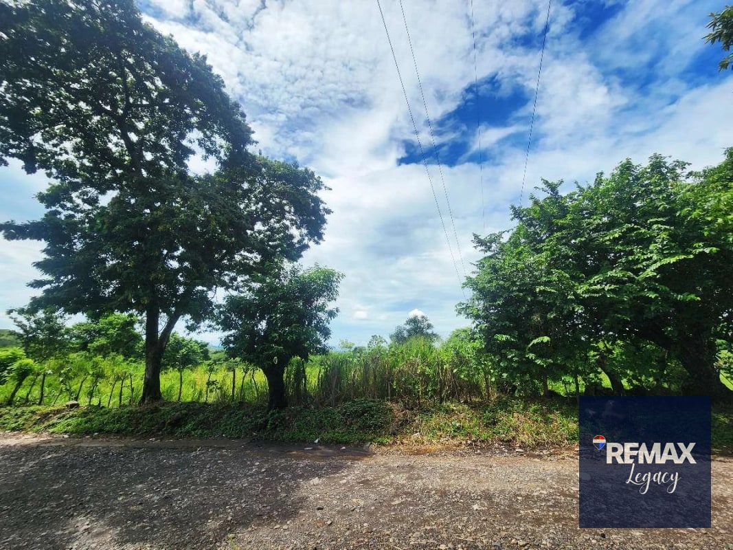 Terreno Venta | KM 61.5 | Escuintla - 7