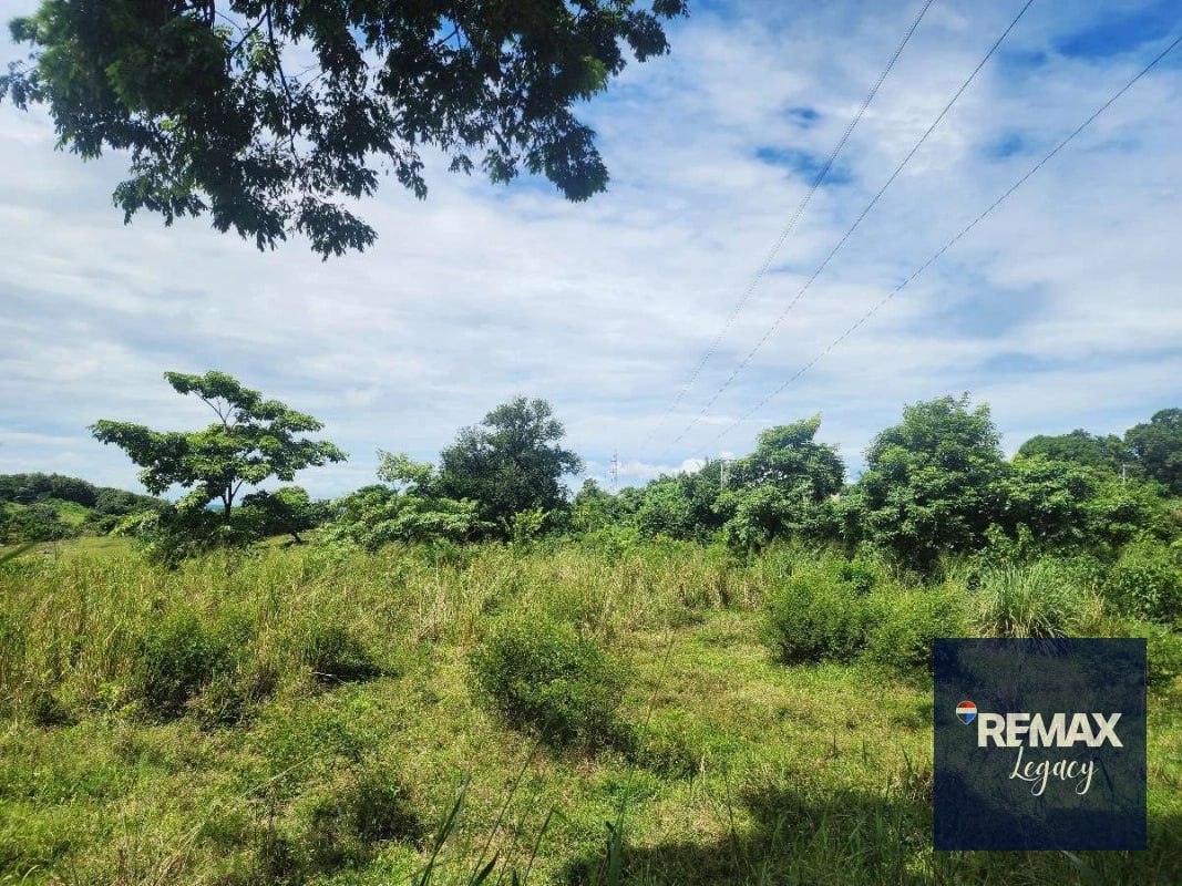 Terreno Venta | KM 61.5 | Escuintla - 6