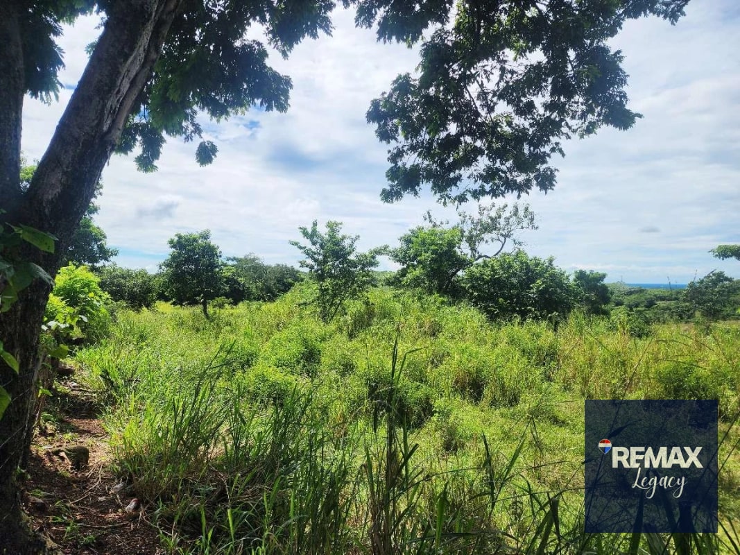 Terreno Venta | KM 61.5 | Escuintla - 5