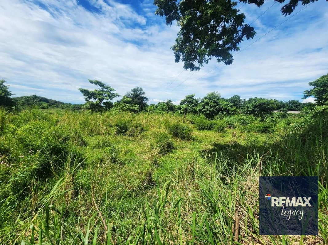 Terreno Venta | KM 61.5 | Escuintla - 4