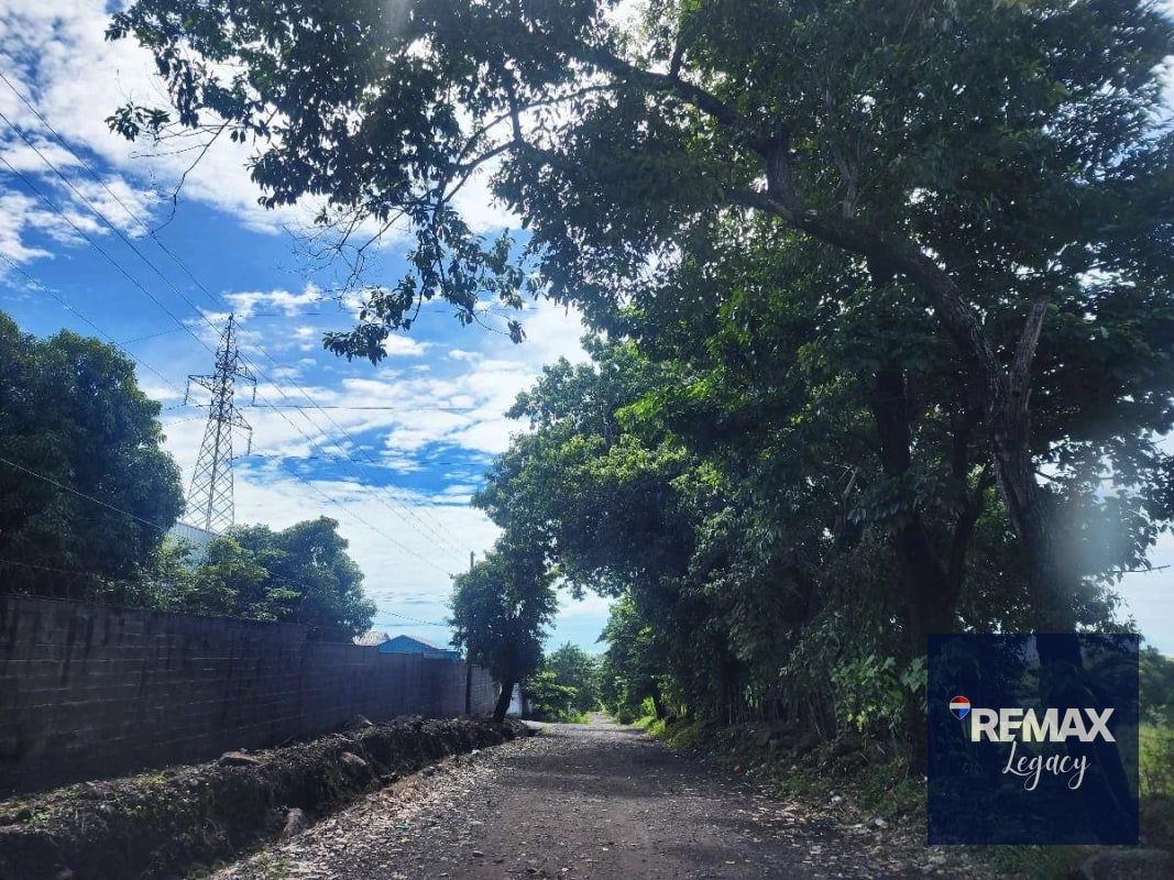 Terreno Venta | KM 61.5 | Escuintla - 3