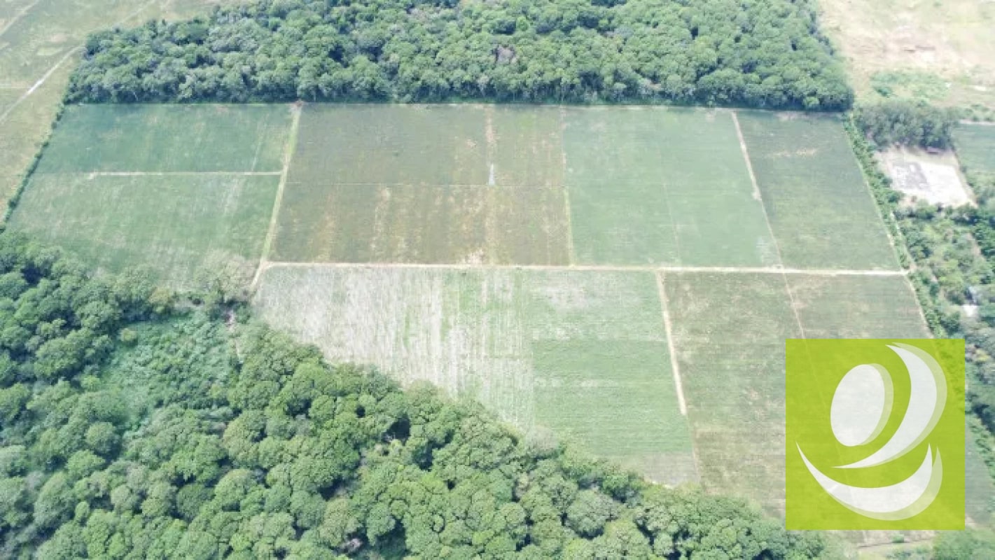 Finca de 20 Manzanas Planas en Venta en CAES Jocotillo - 8