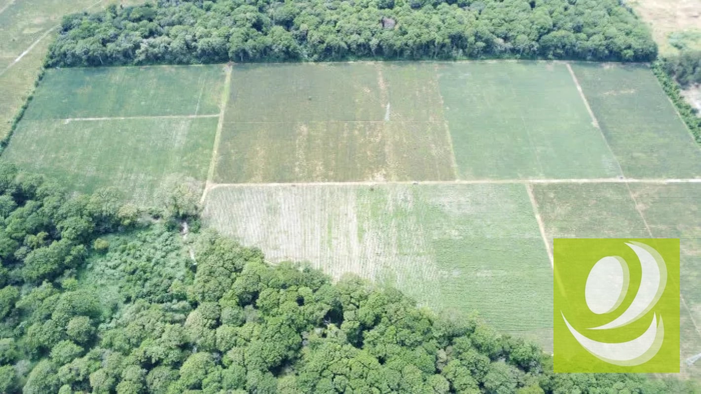 Finca de 20 Manzanas Planas en Venta en CAES Jocotillo - 7