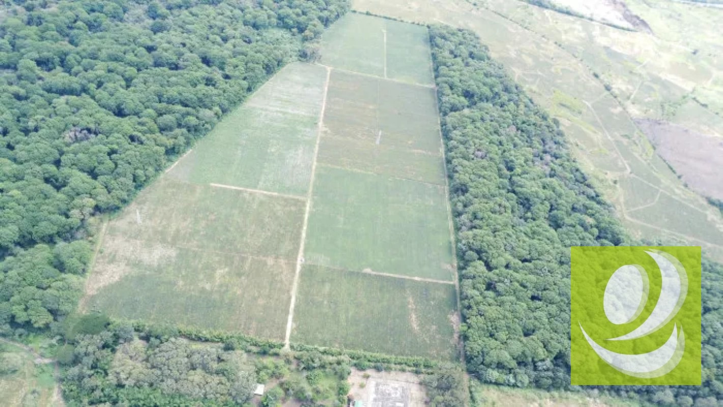 Finca de 20 Manzanas Planas en Venta en CAES Jocotillo - 6