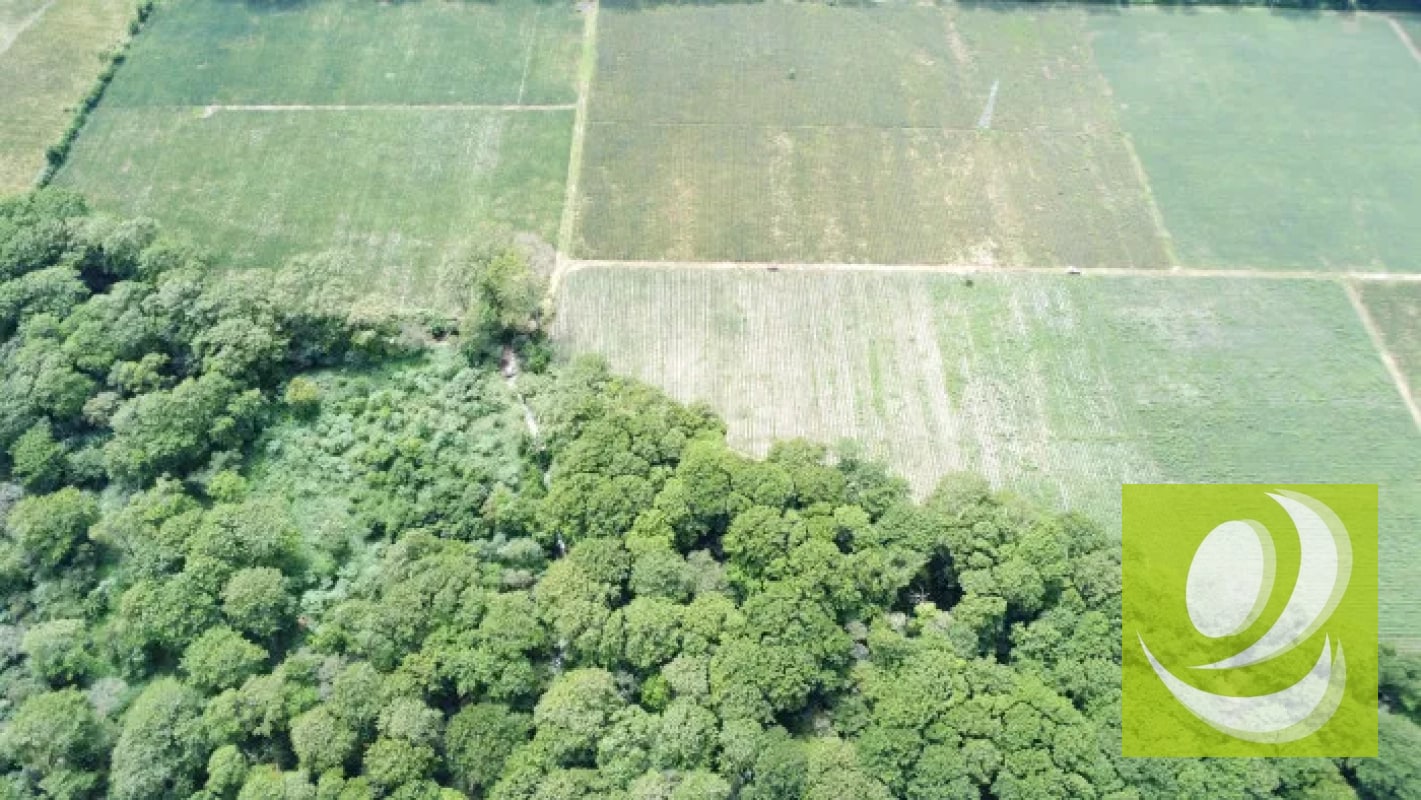 Finca de 20 Manzanas Planas en Venta en CAES Jocotillo - 2