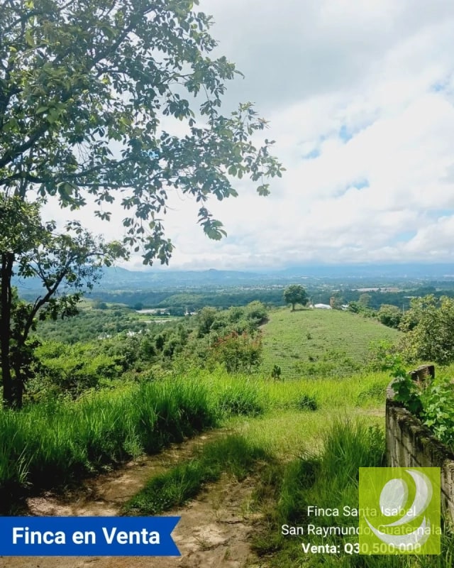 Finca en Venta de 300 Manzanas en San Raymundo - 1
