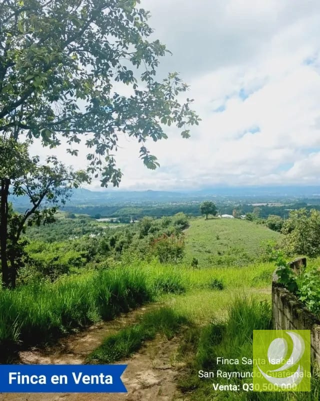 Finca en Venta de 300 Manzanas en San Raymundo — Finca en Venta en San Raimundo, Guatemala, Ciudad — foto 1 de 10