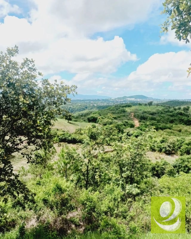 Finca en Venta de 300 Manzanas en San Raymundo - 10