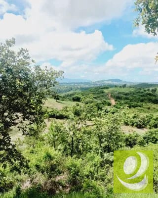 Finca en Venta de 300 Manzanas en San Raymundo — Finca en Venta en San Raimundo, Guatemala, Ciudad — miniatura 10 de 10