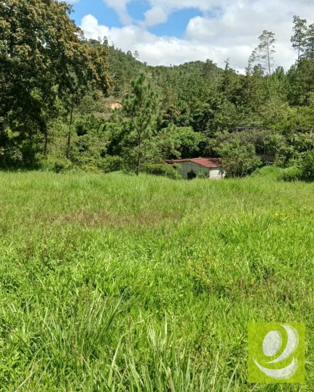 Finca en Venta de 300 Manzanas en San Raymundo - 9