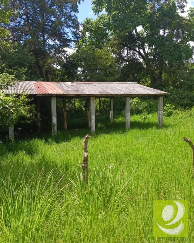 Finca en Venta de 300 Manzanas en San Raymundo - 8