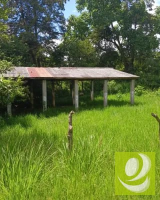Finca en Venta de 300 Manzanas en San Raymundo — Finca en Venta en San Raimundo, Guatemala, Ciudad — miniatura 8 de 10
