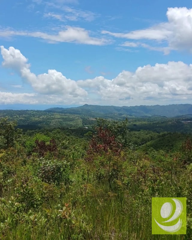 Finca en Venta de 300 Manzanas en San Raymundo - 6