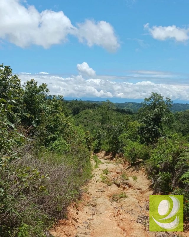 Finca en Venta de 300 Manzanas en San Raymundo - 5