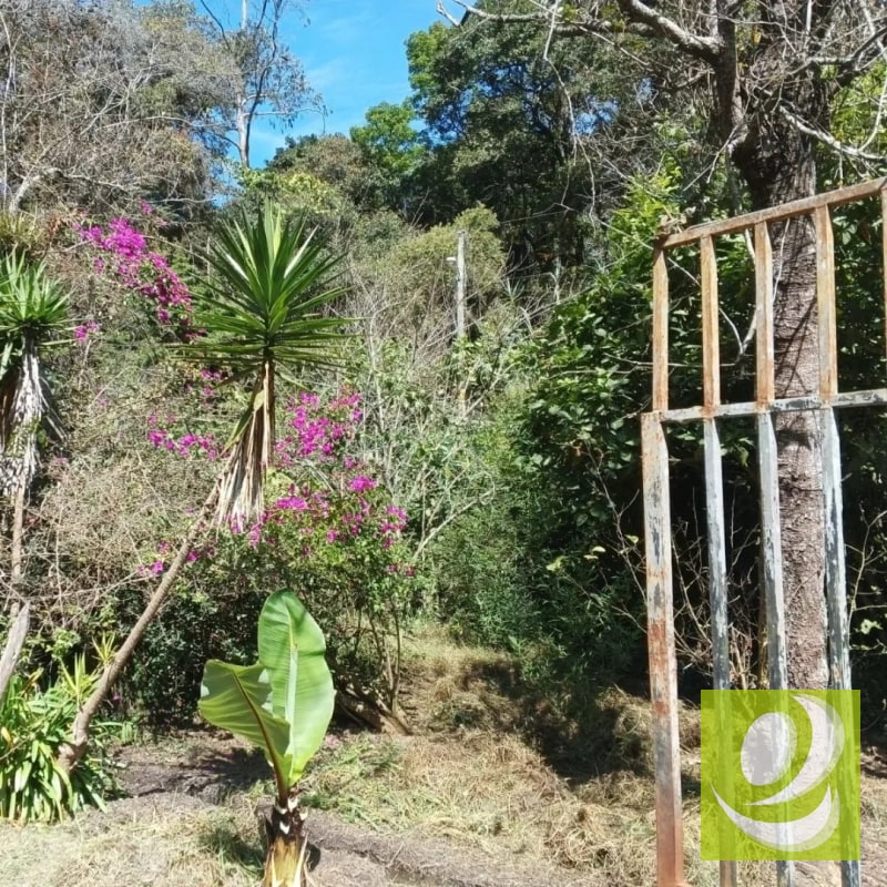 Finca en Venta de 3 manzanas San Pedro, Sacatepéquez - 6