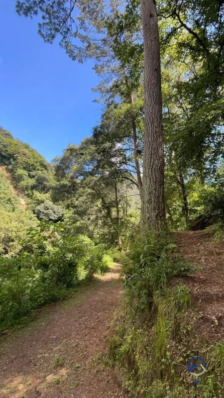 11 manzanas de terreno en venta entre El Encinal y San Pedro Sacatepéquez, - 8