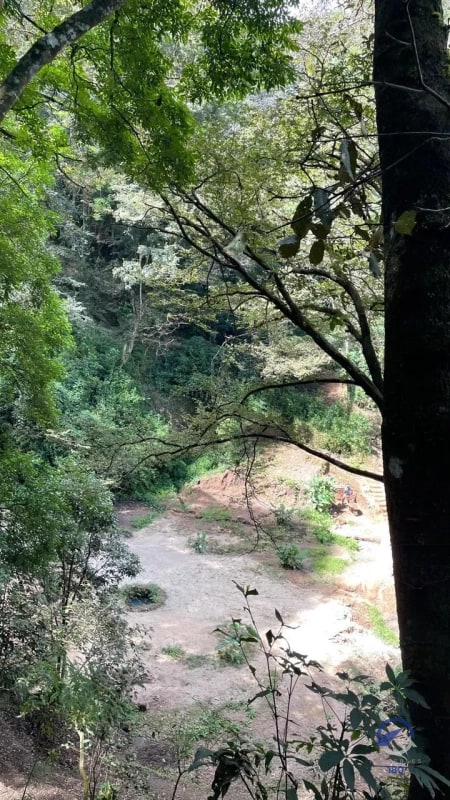 11 manzanas de terreno en venta entre El Encinal y San Pedro Sacatepéquez, - 6