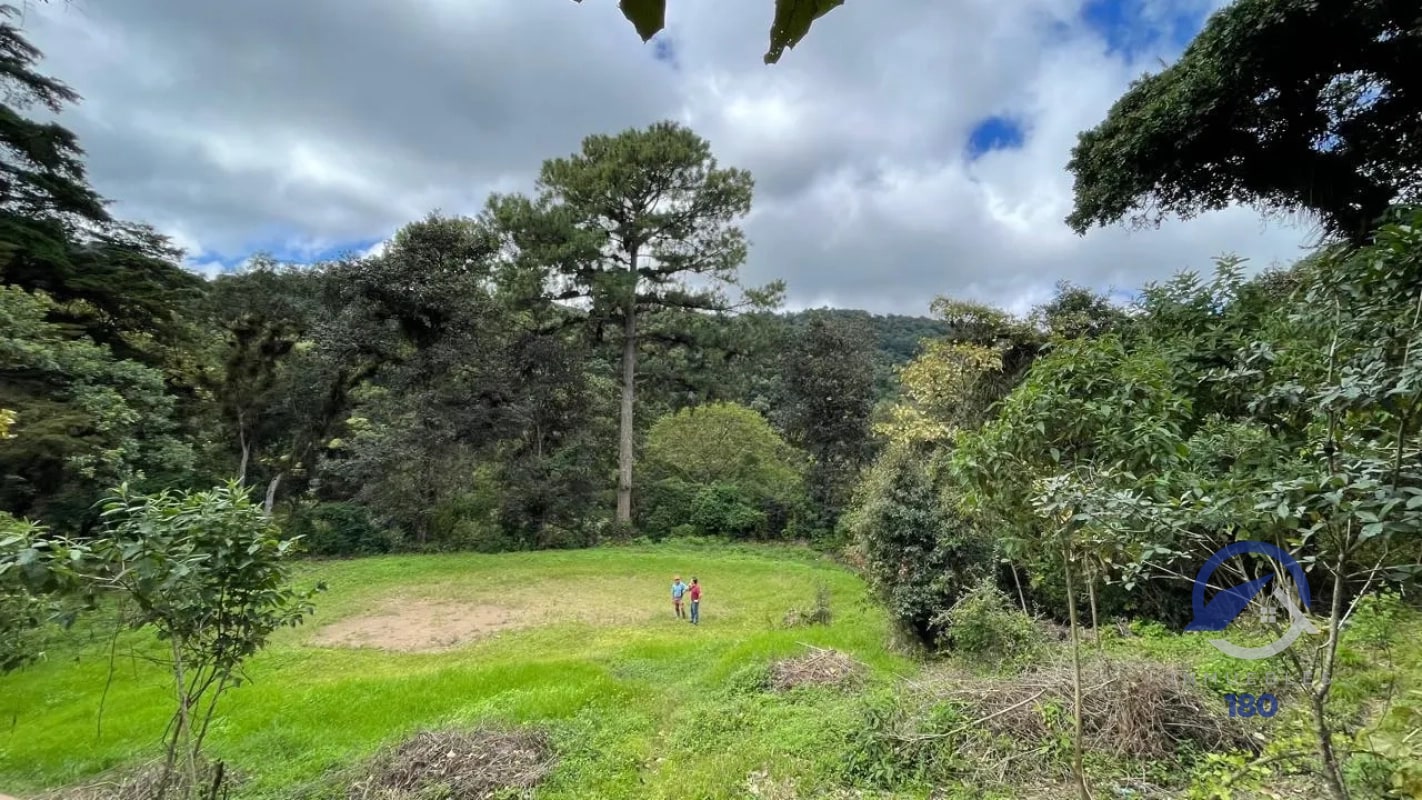 11 manzanas de terreno en venta entre El Encinal y San Pedro Sacatepéquez, - 3